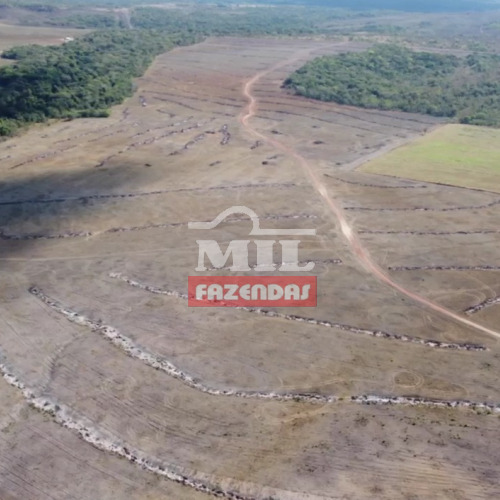 Fazenda 236,38 alqueires (1.144,12 hectares) Pium - To