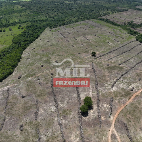 Fazenda 253 alqueires (1.220 hectares) Couto Magalhães - TO