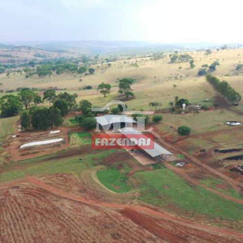 Fazenda 100 alqueires (484 hectares) Anapolis -  GO