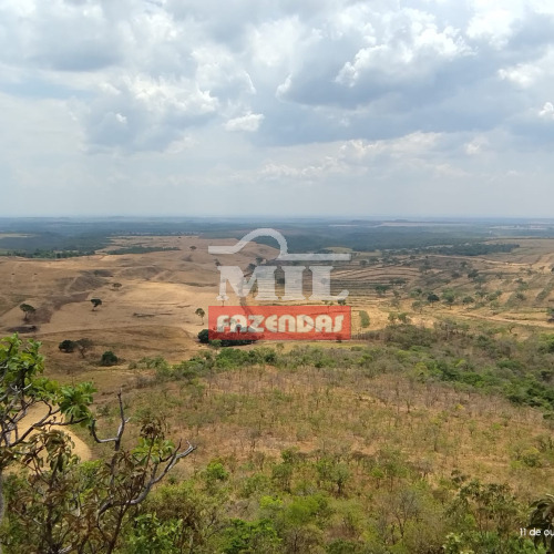 Fazenda 468 alqueires (2.265 hectares) Palmas - TO