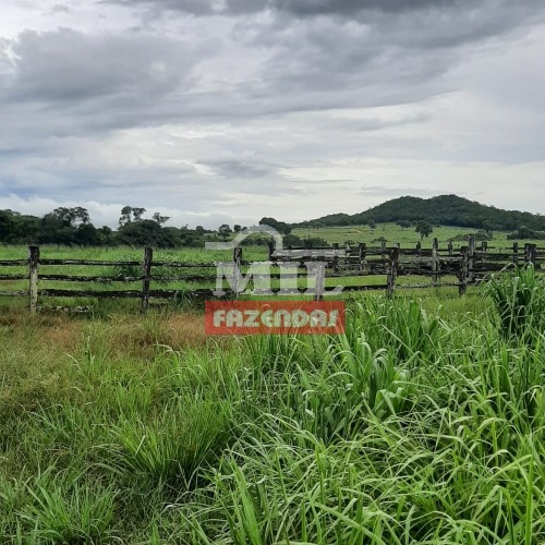 Fazenda em Montes Claros de Goiás - 33,5 alq. ( 162 hectares)