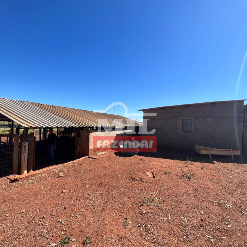 Chacara 1,61 Alqueires (7,79 hectares) Santa  Rosa - Go