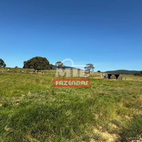 Fazenda extra - 297 alqueires (1.437ha) no vale do Araguaia-GO