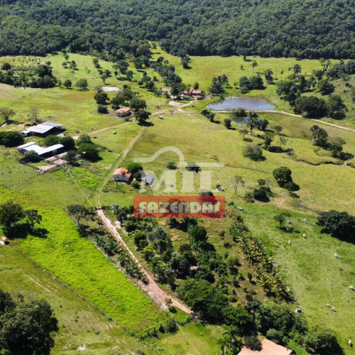 Fazenda 323 Alqueires (1.563 hectares) Colinas do Sul - GO