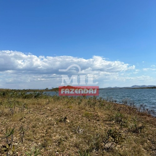 Fazenda Margem do Lago Serra da Mesa-GO. (267 Alqueires) Niquelândia-GO