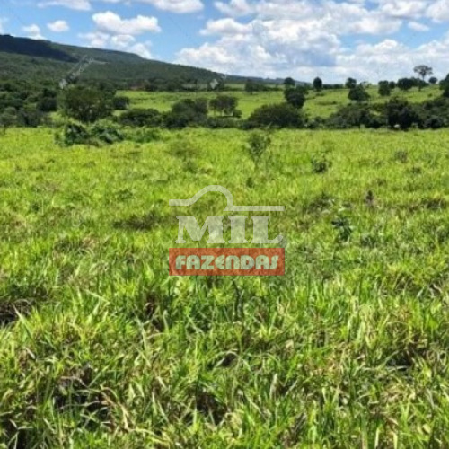 Fazenda 820 Alqueires (3.949 hectares) Bom Jardim de Goiás - GO