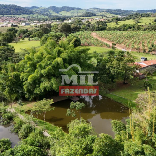 Chácara 3,61 alqueires (17,5 hectares) Taquaral - Go