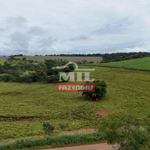 Chácara 3,30 Alqueires (15,97 hectares) Inhumas - GO