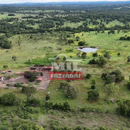 Fazenda de 150 alqueires (726 hectares) em Araguapaz - GO