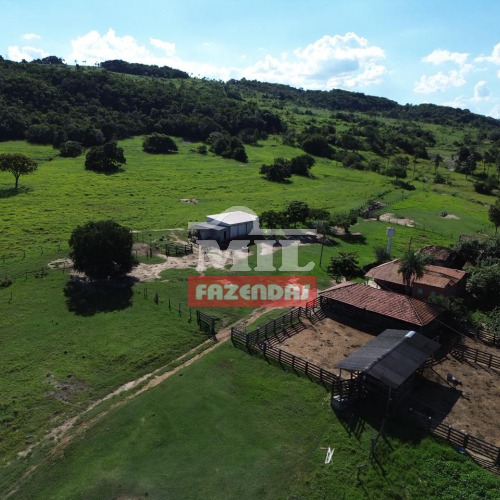Fazenda 84 Alqueires (406,56 hectares) Indiara - GO