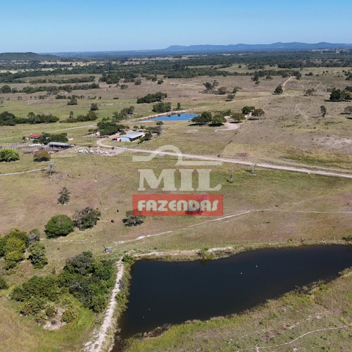 Fazenda 140 alqueires (677,6 hectares) Mozarlandia - Go