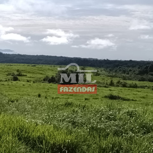 Fazenda 141 alqueires (682,44 hectares) Santa Rita do Tocantins - TO