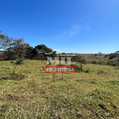 Chacara 10,5 alqueires (50,82 hectares) Avelinópolis - Go