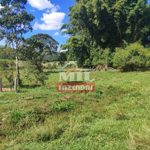 Fazenda 110 alqueires (532,4HAC) Anicuns - GO