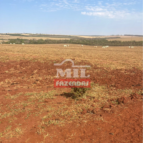 Fazenda 1.942 hectares Campo Grande - MS