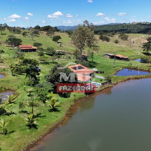 Chácara 11.5 Alqueires (55,66 hectares) Itapaci - GO