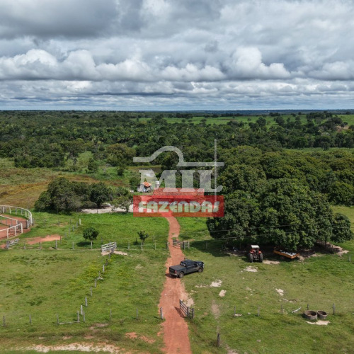Fazenda 117 Alqueires (566 hectares) São Miguel do Araguaia - GO