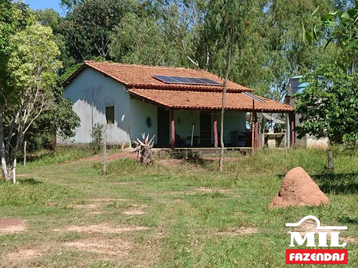 Mil Fazendas -Arrendamento Agrícola em Caiapônia – Goiás 