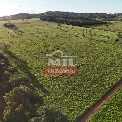 Chácara 5 alqueires ( 24.2 hectares) Bela Vista de Goiás