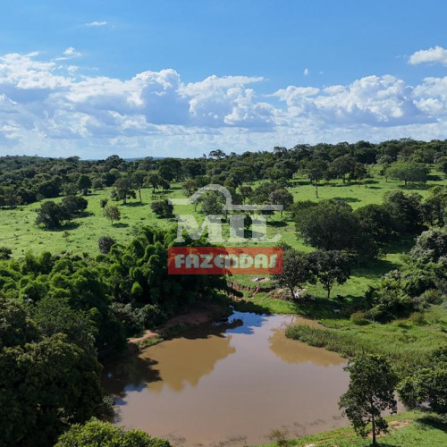 Fazenda 32 Alqueires (154,88 hectares) Mairipotaba - GO