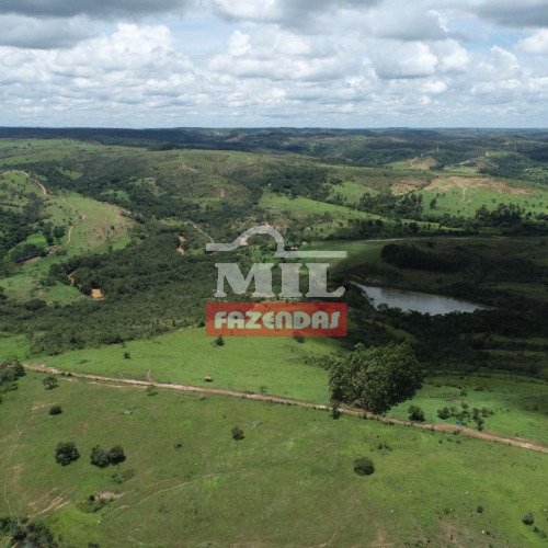 Fazenda 142 alqueires (687 hectares) Cocalzinho de Goiás - GO
