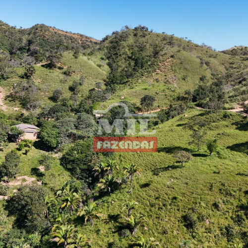 Fazenda 40 Alqueires (193 hectares) Padre Bernardo - GO