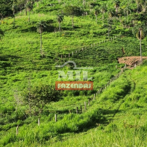 foto do anuncio