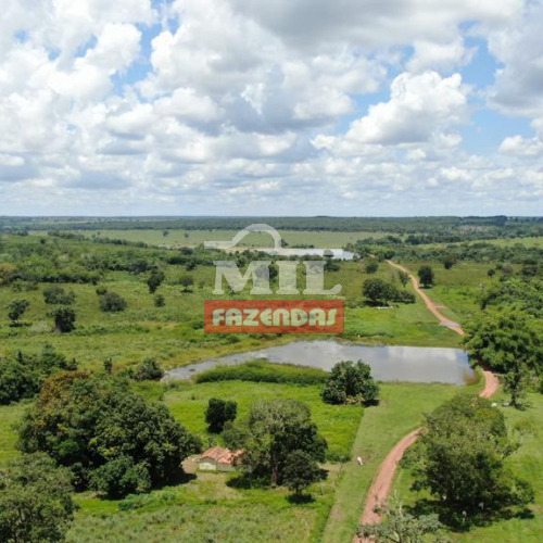 Fazenda 906 Alqueires (4.385 Hectares ) Araguaçu - To
