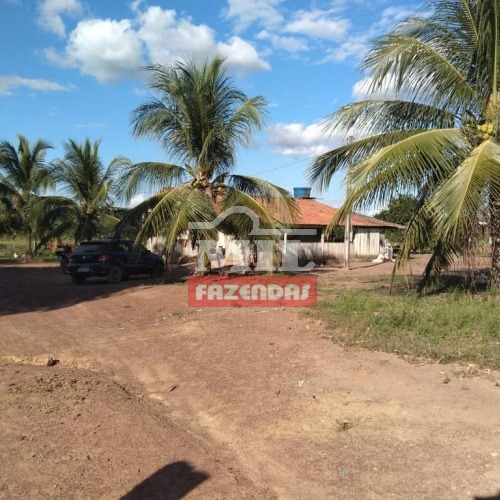 Fazenda em Marabá - PA 740 alqueires (3,581 hectares)