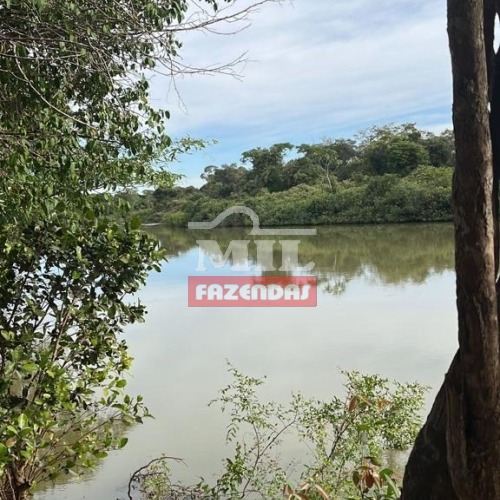 Fazenda 230 alqueires (1.113 hectares) no município de Nova Crixás - GO