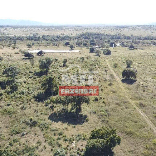 Fazenda 338 alqueires (1.636 hectares) Arraias - TO