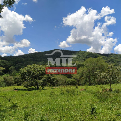 Chácara 17,8 alqueires (86,15 hectares) Jandaia - Go