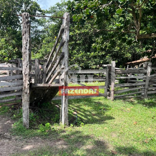 Fazenda 23 Alqueires (111,32 Hectares) Itapirapuã - GO