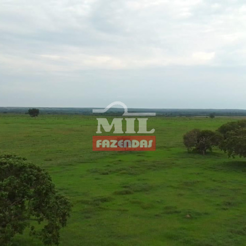 Fazenda 403 Alqueires (1.950 hectares) Divinópolis - To