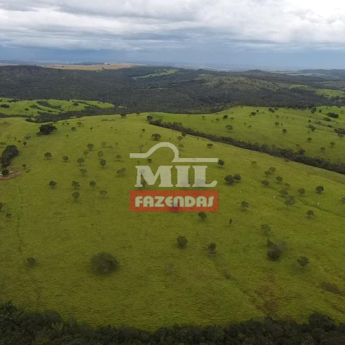 Fazenda 351 Alqueires (1.702 Hectares) Luziania - Go