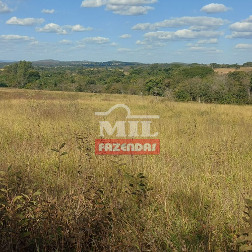 Chacara 3 Alqueires e 68 litros (17,81 hectares) Cezarina - Go