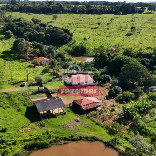 Fazenda 24 alqueires ( 116 hectares ) Bela Vista de Goiás - GO
