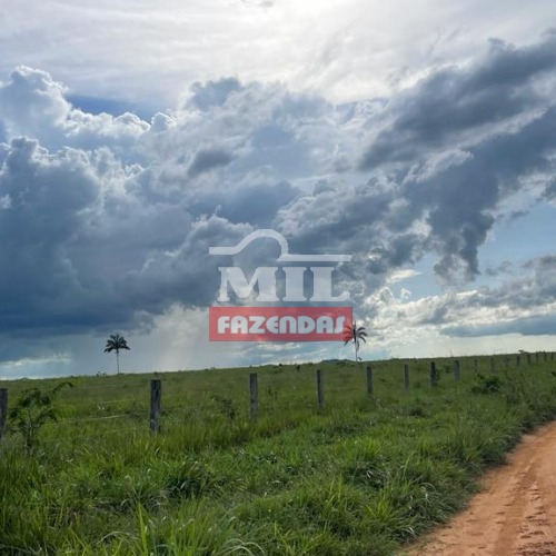 Arrendamento Sul do Pará (Divisa com MT) Área Agricultável: 2.000 Hectares