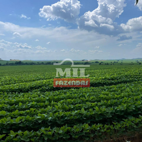 Fazenda 4.720 hectares Santana do Araguaia - PA