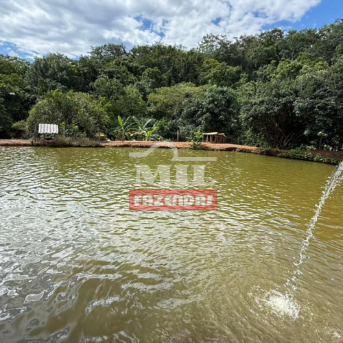Chácara 5 alqueires (24,2 hectares) São Miguel do Passa Quatro - Go