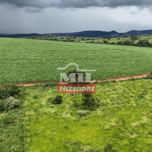Chácara 9,30 Alqueires (45,01 hectares) Santa Rosa de Goiás - GO