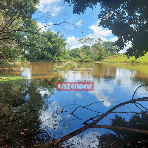 Chácara 2 Alqueires (9,68 hectares) São Francisco de Goiás - GO