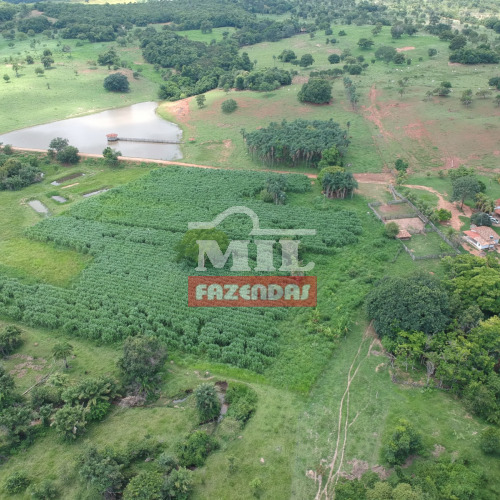 Fazenda 20 alqueires (96,8 hectares) Cidade de Goiás - GO