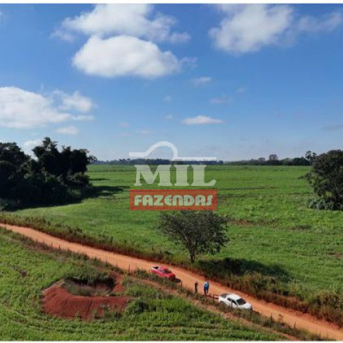 Chacara 5 alqueires ( 24 hectares) Caturai - GO