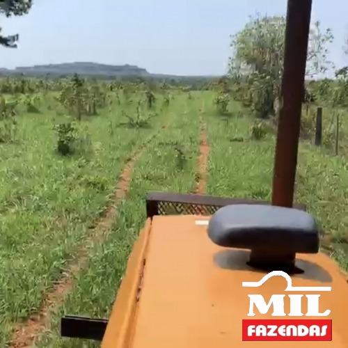 Fazenda de 261 alqueires (1.266 hectares)  em Pontal do Araguaia - MT
