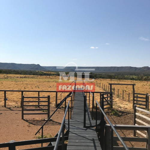 Fazenda 200 Alqueires (968 hectares) Guarani de Goiás - GO