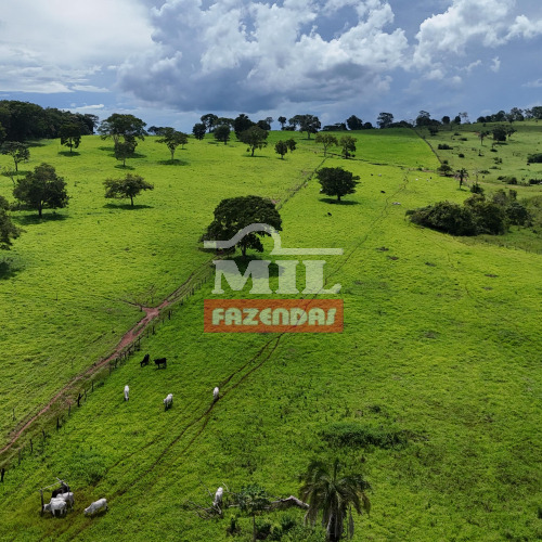 Fazenda 5 Alqueires (24,2 hectares) Piracanjuba - GO