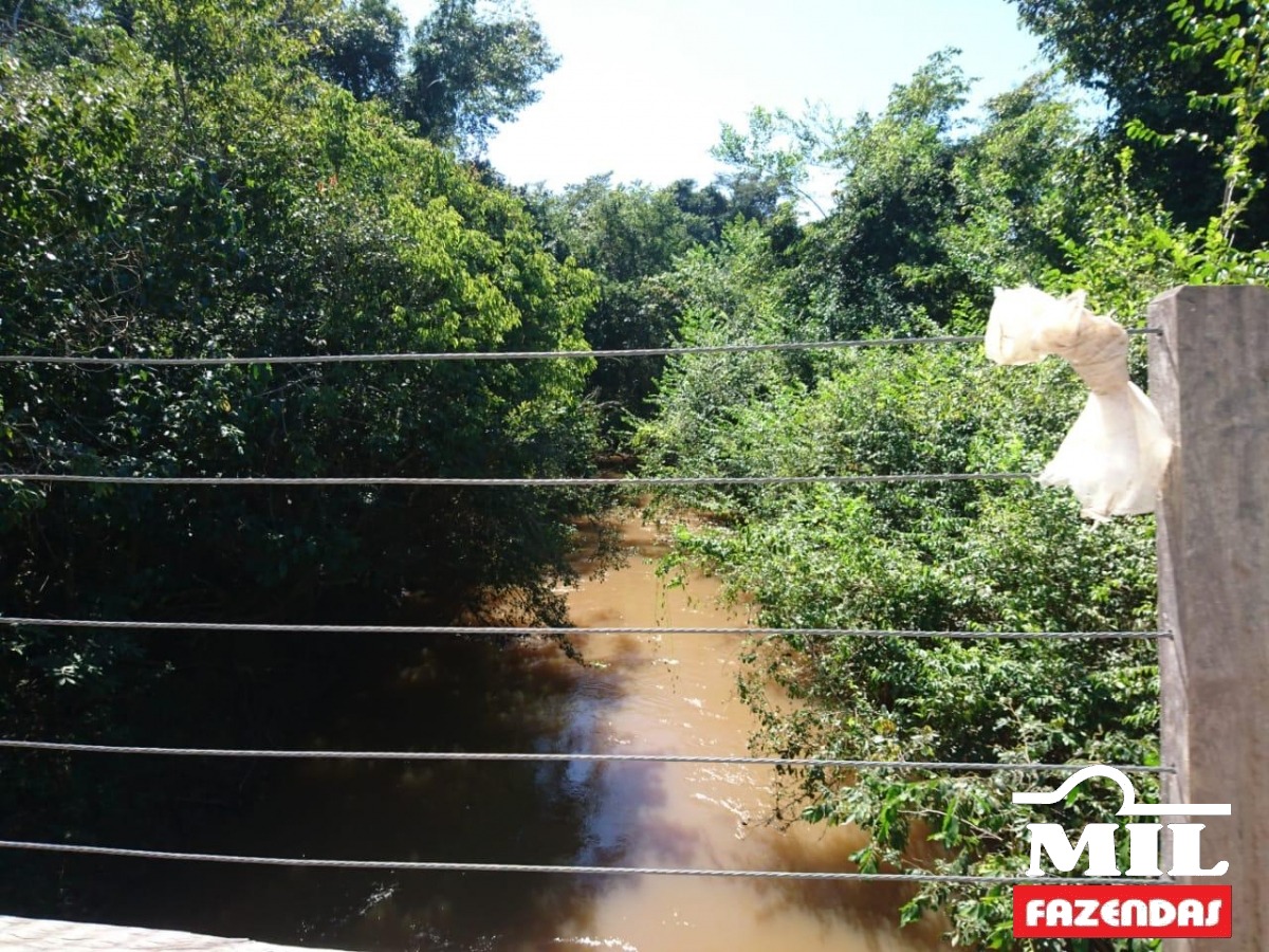 Mil Fazendas -Arrendamento Agrícola em Caiapônia – Goiás 