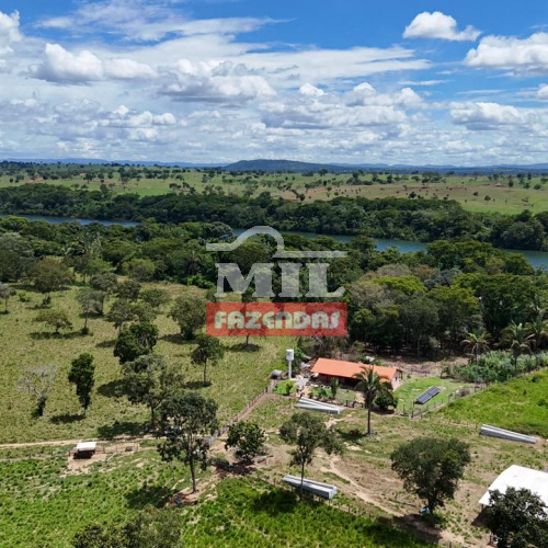 Fazenda 183 Alqueires (885,7 hectares) Minaçu - GO