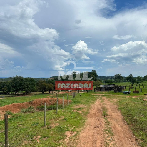 Fazenda 28 alqueires (135 hectares) Caçu - GO